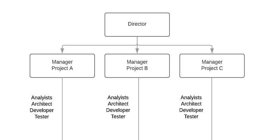 Organizational chart showing Director at top with three project managers below, each managing analysts, architects, developers, and testers